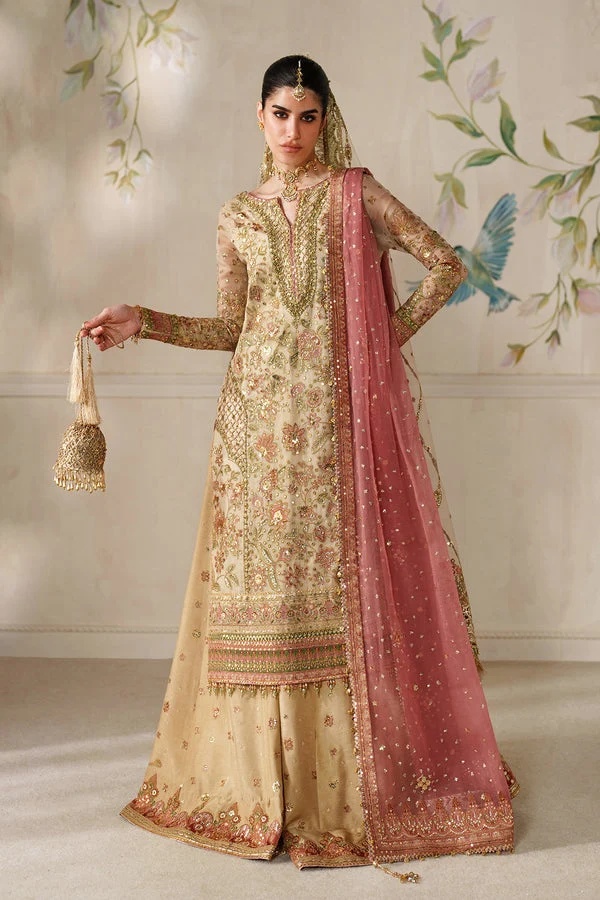 EMBROIDERED NET BAROUQE pakistani fashion outfit with coordinated…